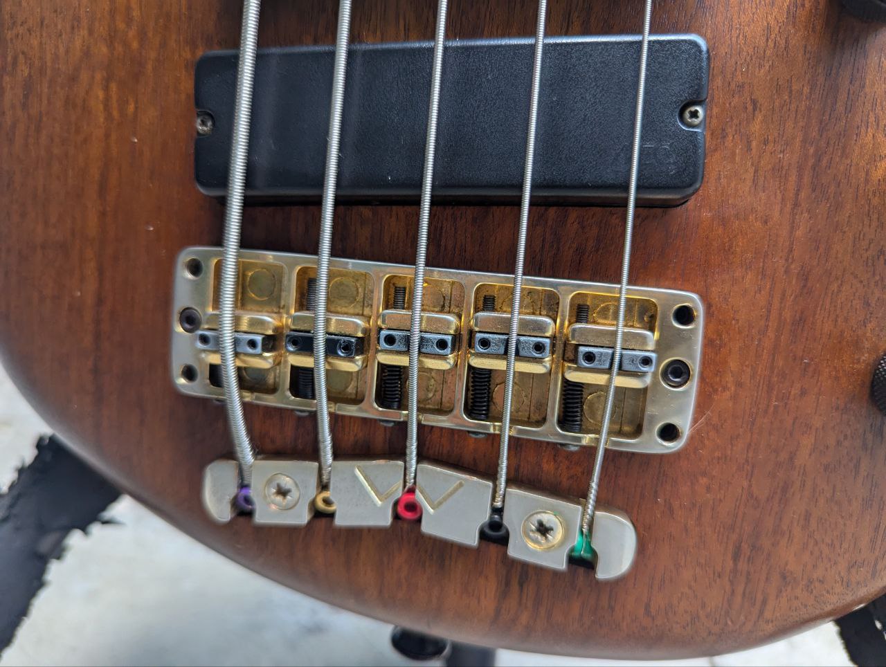Bajo Warwick Thumb Bolt-On, Broad Neck