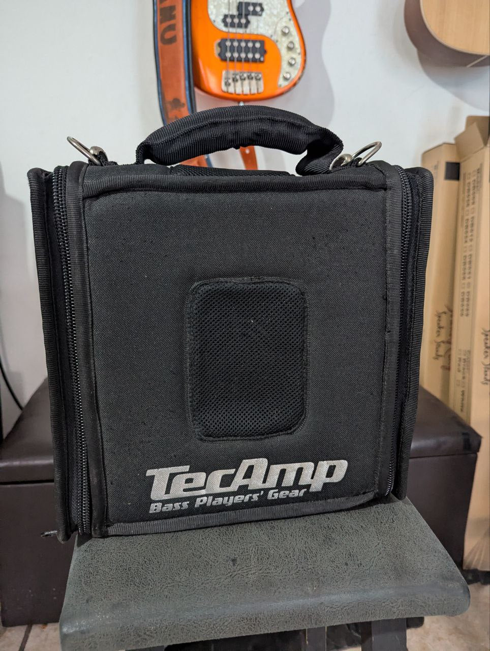 Amplificador Para Bajo Eléctrico Puma 1000 Tecamp